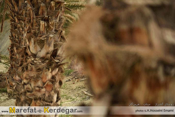 دیدنی های استان هرمزگان دیدنی های استان هرمزگان