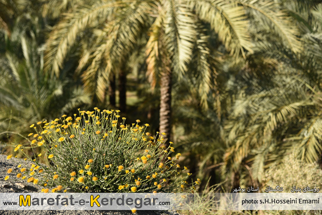 منطقه خاییز منطقه خاییز