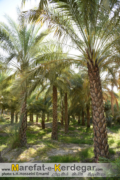 منطقه گردشگری خائیز منطقه گردشگری خائیز