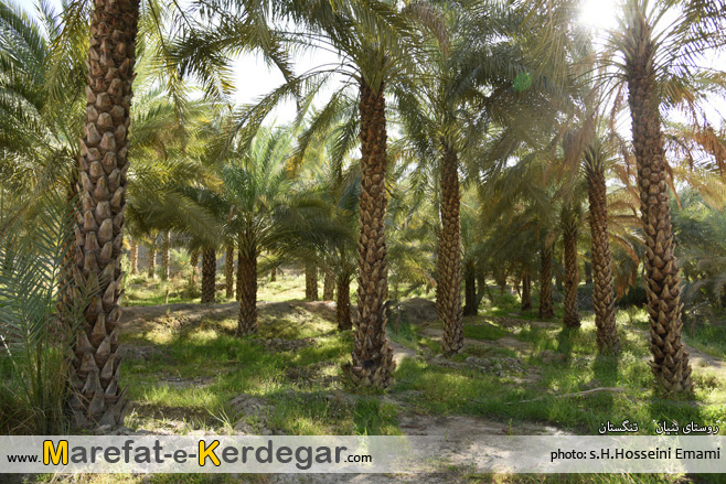 منطقه گردشگری خائیز منطقه گردشگری خائیز