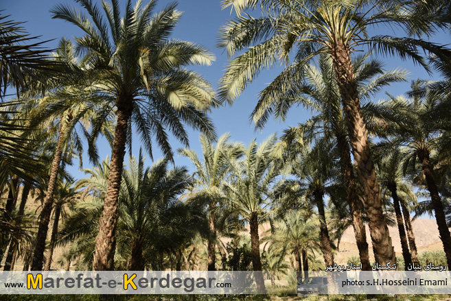 منطقه خائیز منطقه خائیز