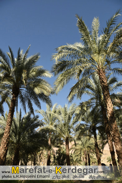 منطقه خائیز منطقه خائیز