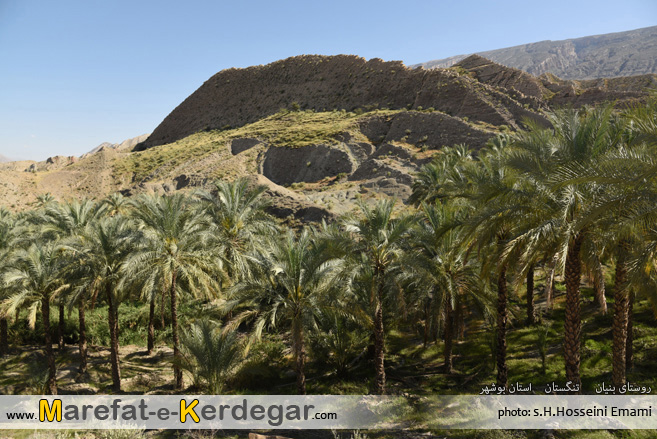 طبیعت تنگستان طبیعت تنگستان