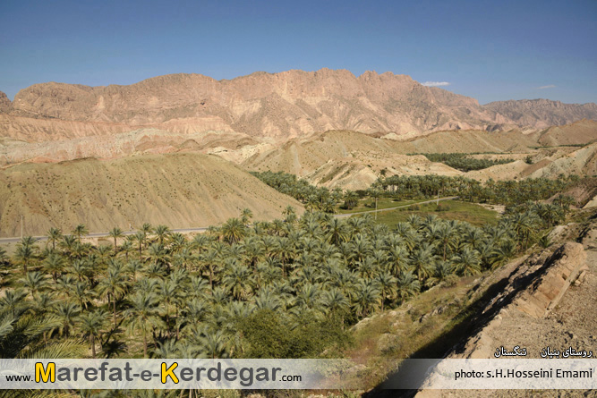 جاذبه های گردشگری تنگستان