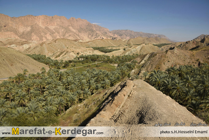 جاذبه های گردشگری تنگستان جاذبه های گردشگری تنگستان