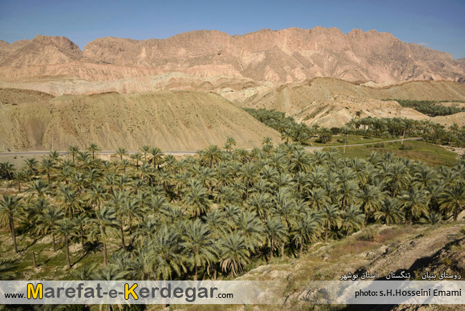 نخلستان های تنگستان نخلستان های تنگستان