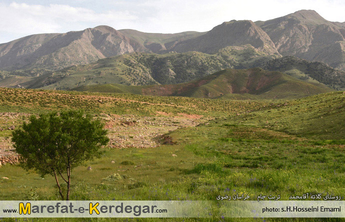 روستای کلاته محمدآقا