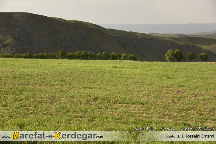 جاذبه های گردشگری تربت جام جاذبه های گردشگری تربت جام