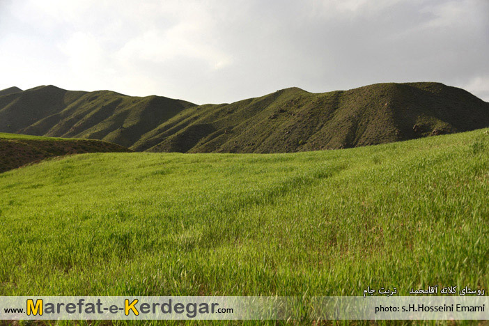 روستای بردو