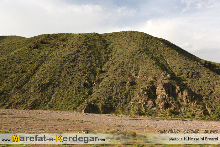 روستای بردو