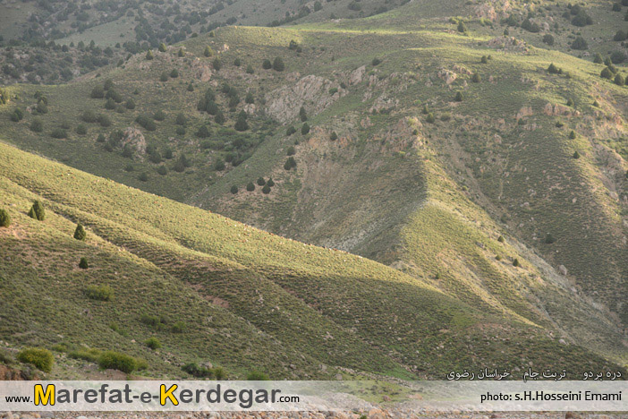 دره بردو دره بردو