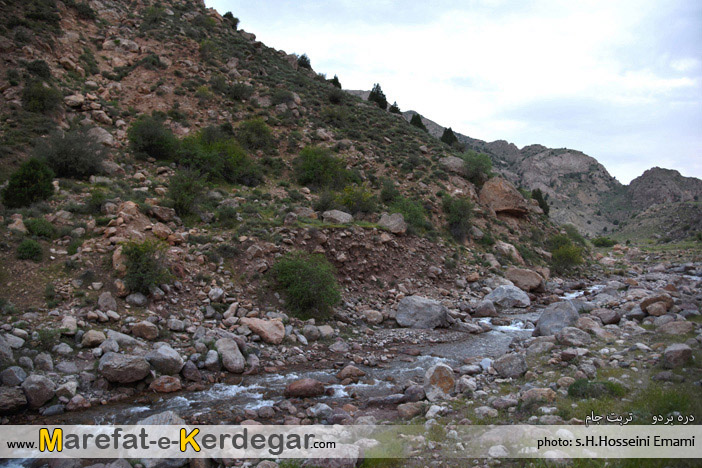 جاذبه های طبیعی تربت جام جاذبه های طبیعی تربت جام