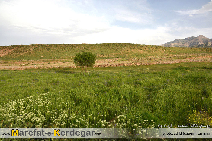 روستای کلاته محمدآقا