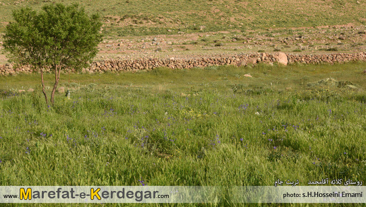 گردشگری تربت جام گردشگری تربت جام