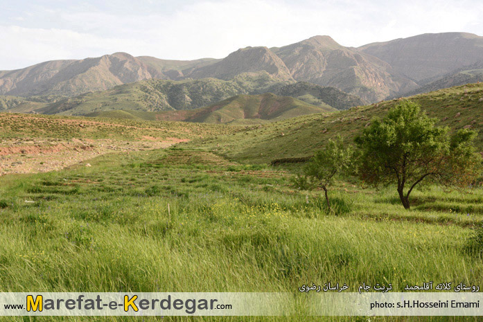 گردشگری تربت جام گردشگری تربت جام