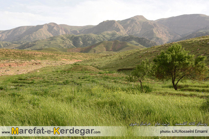 گردشگری تربت جام