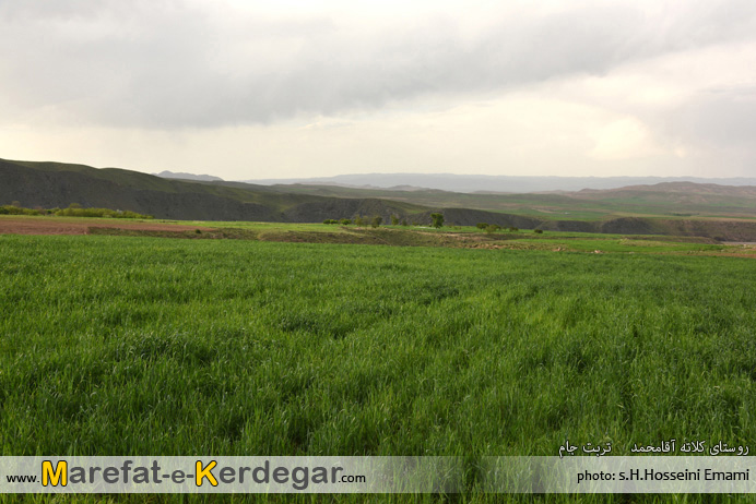 گردشگری تربت جام گردشگری تربت جام