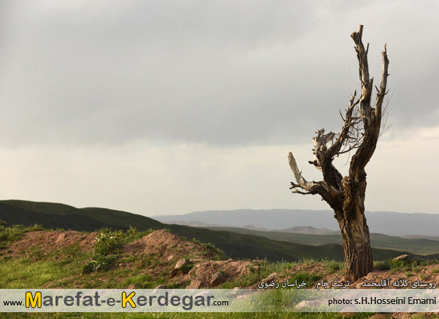 گردشگری استان خراسان رضوی گردشگری استان خراسان رضوی
