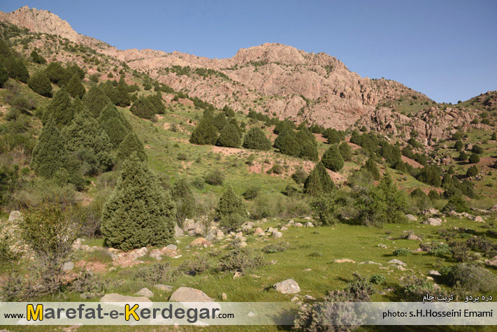 جنگل بردو جنگل بردو