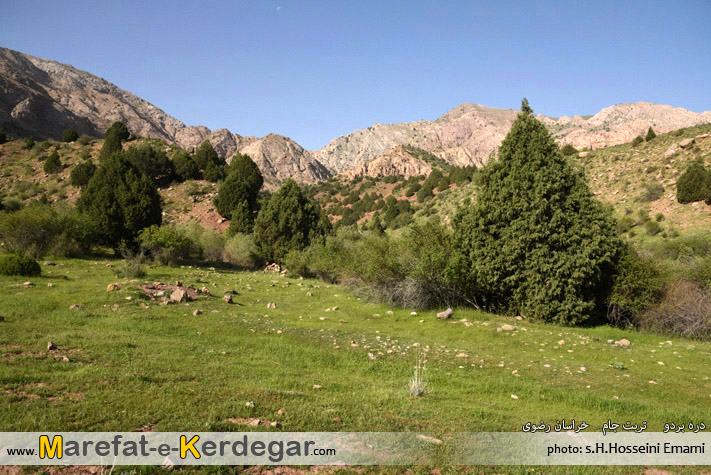 طبیعت تربت جام طبیعت تربت جام