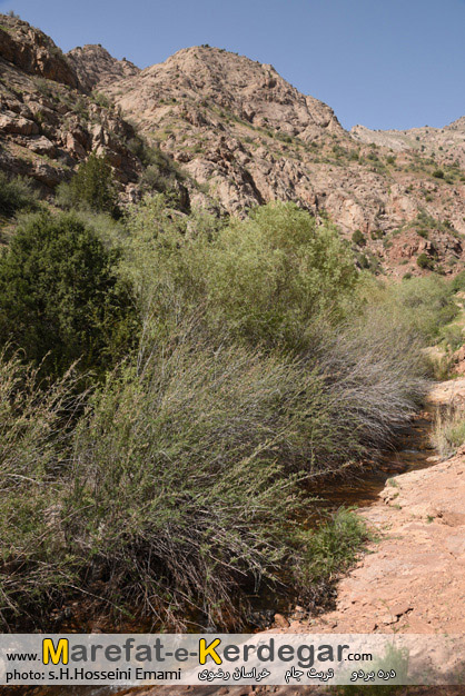 طبیعت استان خراسان رضوی طبیعت استان خراسان رضوی