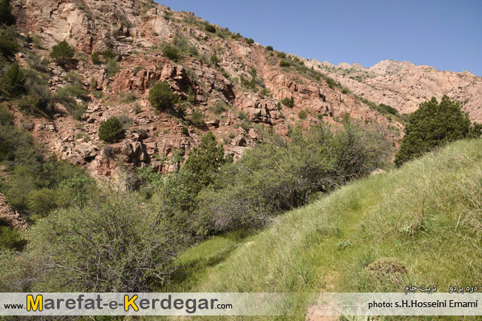 طبیعت تربت جام طبیعت تربت جام