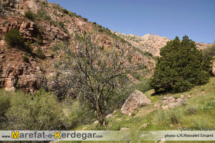 طبیعت استان خراسان رضوی طبیعت استان خراسان رضوی