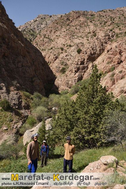 طبیعت گردی در تربت جام