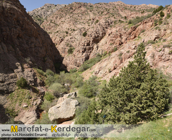 طبیعت گردی در تربت جام