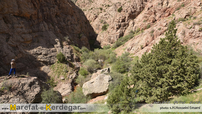 دره نوردی در تربت جام دره نوردی در تربت جام