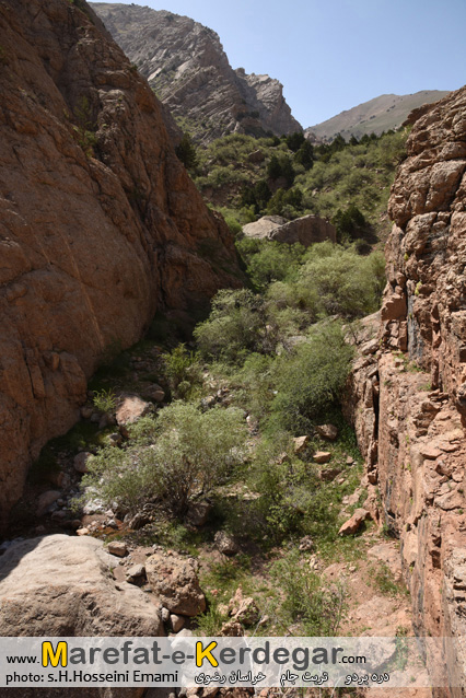 دره های تربت جام دره های تربت جام