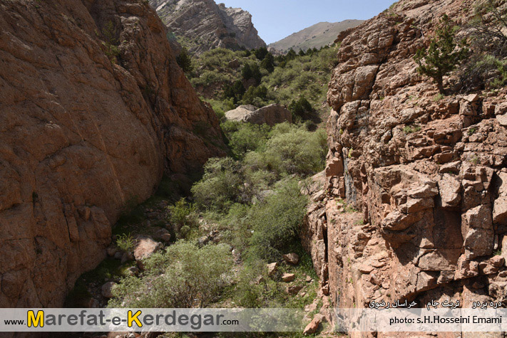 دره های تربت جام دره های تربت جام