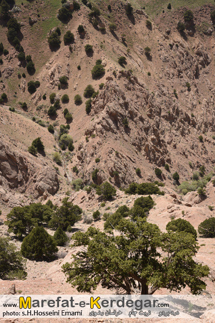 دره بردو دره بردو