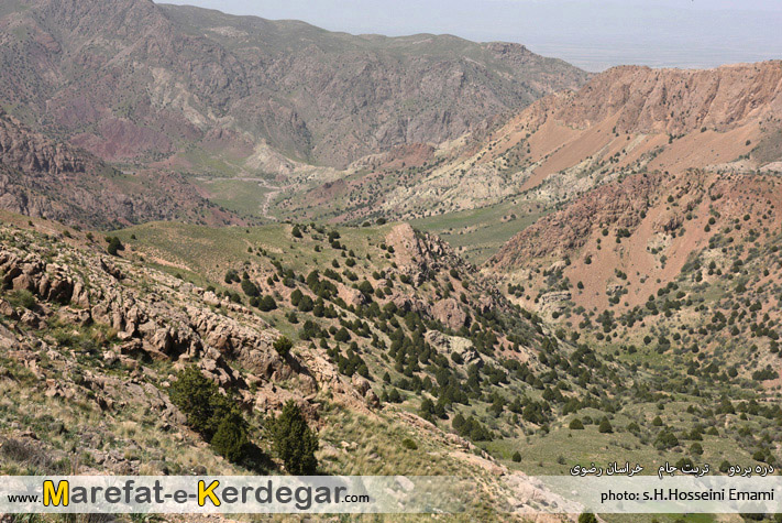 مکان های توریستی تربت جام مکان های توریستی تربت جام