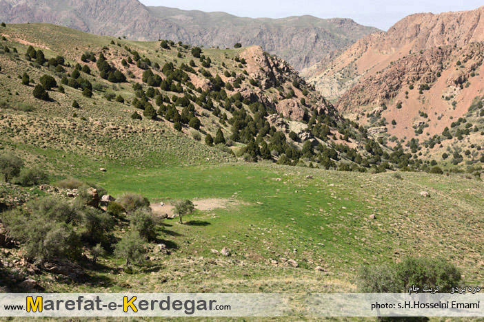 جنگل ارس در خراسان رضوی جنگل ارس در خراسان رضوی