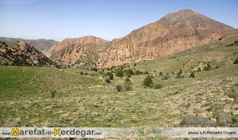 جنگل ارس در استان خراسان رضوی جنگل ارس در استان خراسان رضوی