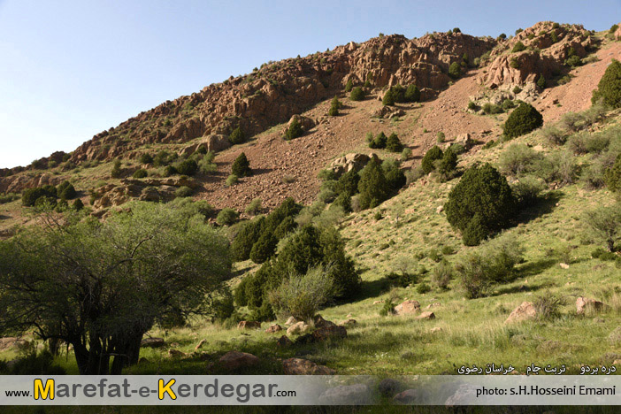 مکان های دیدنی تربت جام مکان های دیدنی تربت جام