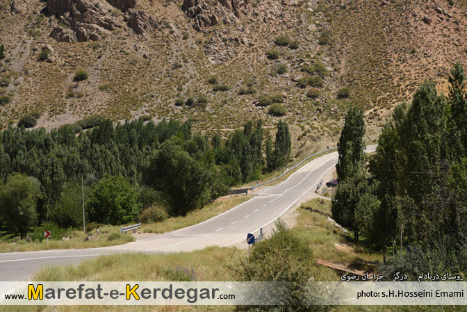 دربادام دربادام