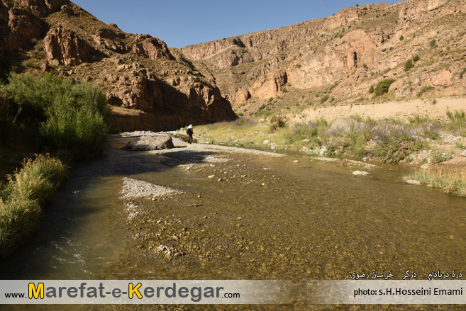 طبیعت ایران طبیعت ایران