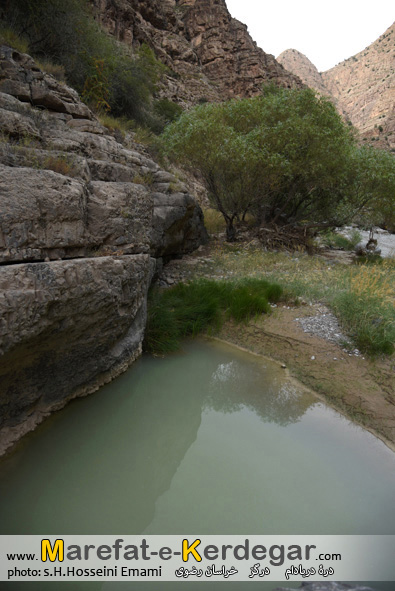 گردشگری ایران