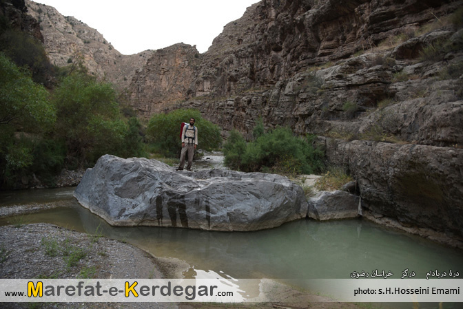 گردشگری ایران