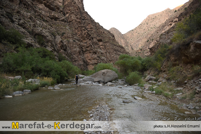 گردشگری ایران