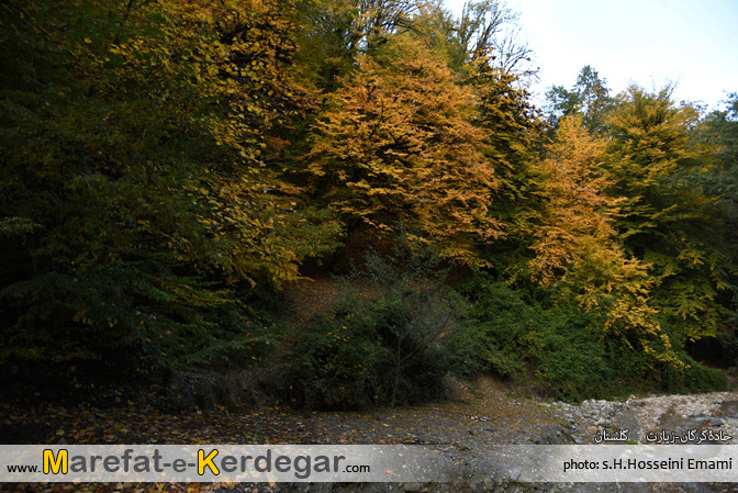 طبیعت پاییزی استان گلستان طبیعت پاییزی استان گلستان