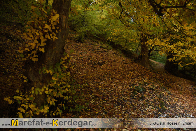 طبیعت پاییزی استان گلستان طبیعت پاییزی استان گلستان