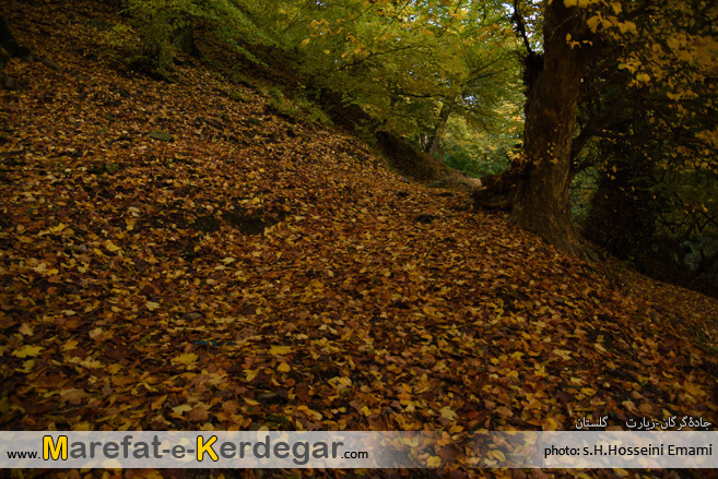 طبیعت پاییزی استان گلستان طبیعت پاییزی استان گلستان