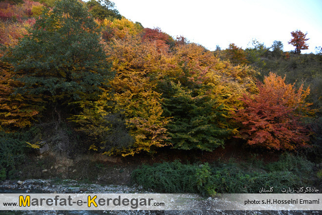 پاییز شمال پاییز شمال