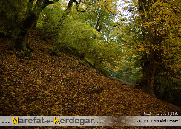 پاییز در گرگان پاییز در گرگان