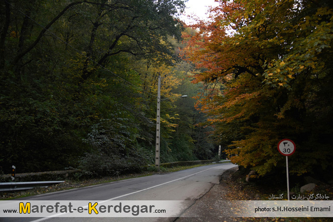 جاده های جنگلی جاده های جنگلی