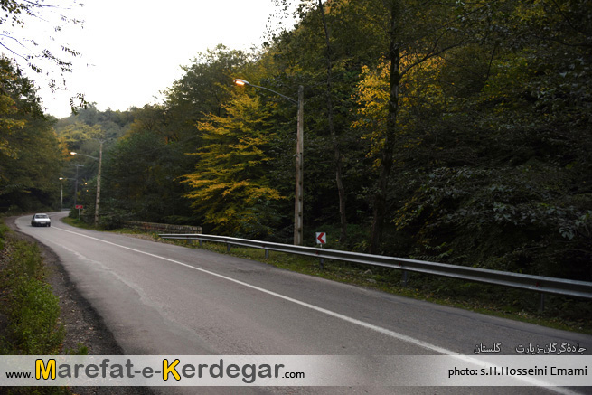 ناهارخوران ناهارخوران