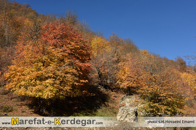 منطقه زیارت گرگان منطقه زیارت گرگان